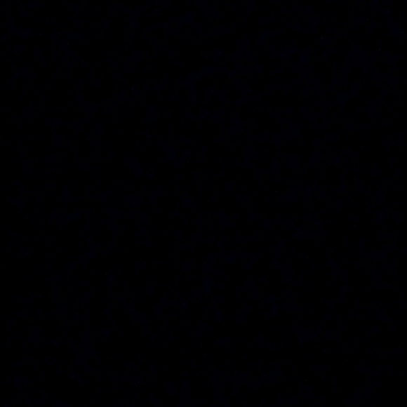 Meet your Posher, Paula - Picture 1 of 1